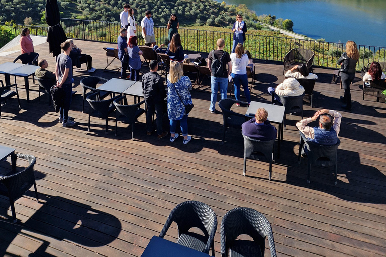 From Porto: Douro Valley Wine Tasting Tour With Hotel PickupPickup at Hotel