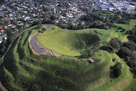 Auckland: Half-Day City Highlights Tour with Pickup
