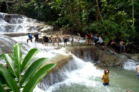 Bob Marley Mausoleum & Dunn’s River Falls Private Tour