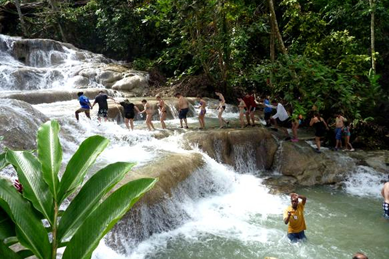 Bob Marley Mausoleum & Dunn’s River Falls Private Tour