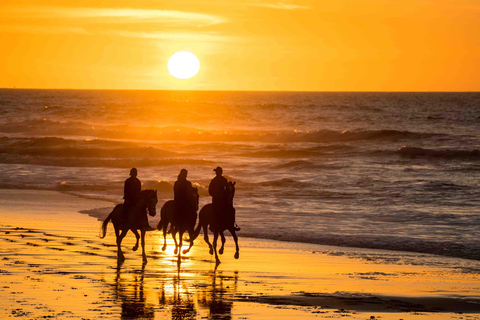 Dakhla Horse Riding Tour in the Desert