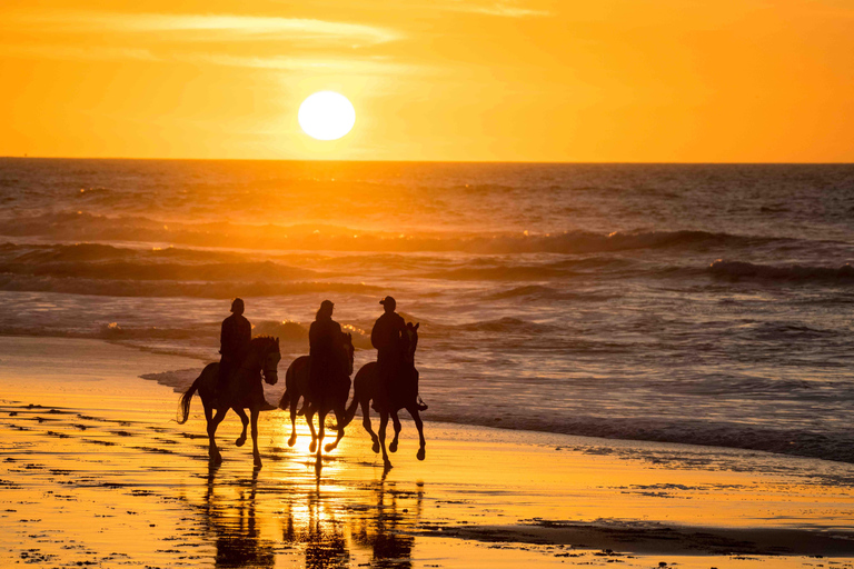 Dakhla Horse Riding Tour in the Desert