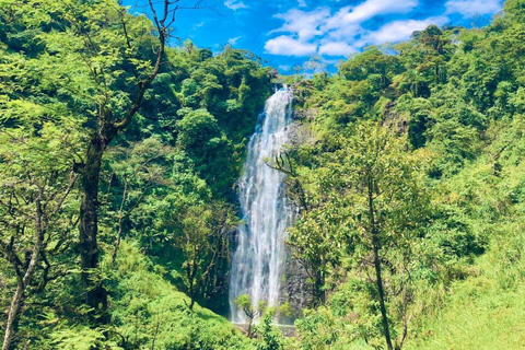 Moshi: targ i wycieczka po mieście z lokalnym przewodnikiem