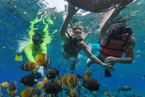 Nusa Penida: 3-Spot Snorkeling at SD, Gamat & Wall Nusa Penida hotel pickup