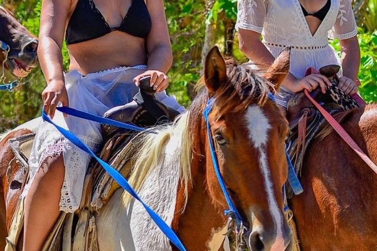 Punta Cana: Horseback Riding Tour. Connect with nature at a gallop. Punta Cana: Horseback Tour. Connect with nature at a gallop.