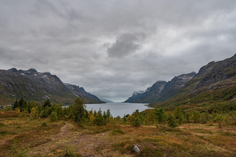 Tromsø: Kvaløya & Sommarøy Guided Tour