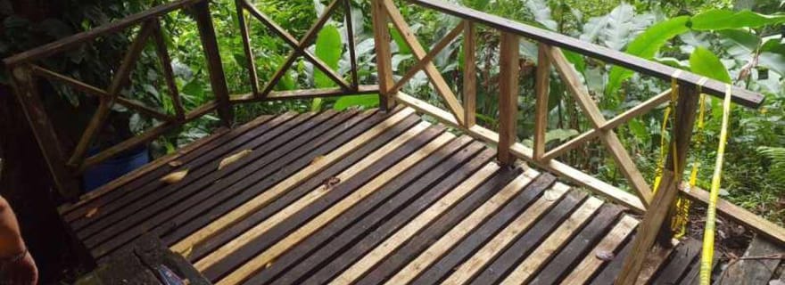 Vincent : Sentier de la nature du Vermont