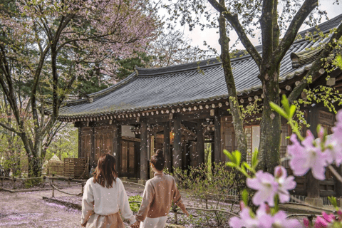 Seoul: Tour di Nami e della Petite France con K-Garden opzionale