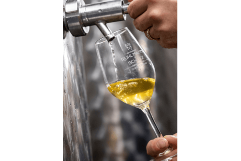 Alsace gourmande: Cellar visit and snack tasting