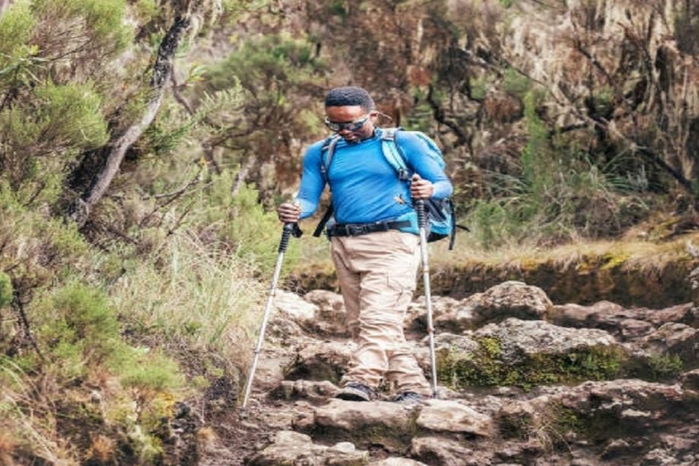 Beste 7 dagen Kilimanjaro beklimming via Machame route