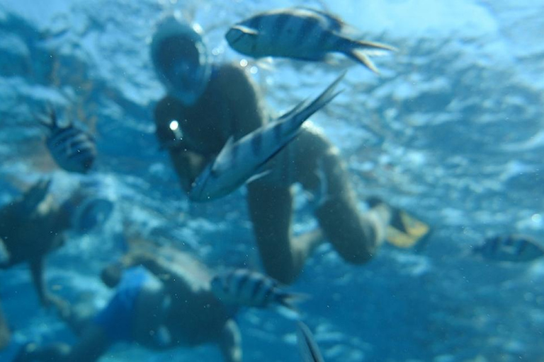 Hurghada: Avventura di snorkeling sull&#039;isola di Giftun e pranzoPrelievo da El Gouna, Soma Bay e Safaga