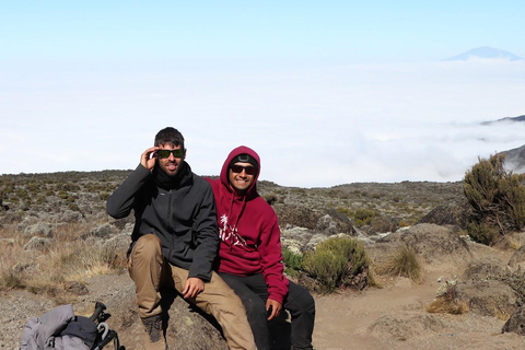 Parque Nacional do Kilimanjaro - 8 dias na Rota de Lemosho