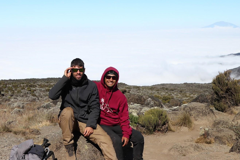 Parque Nacional do Kilimanjaro - 8 dias na Rota de Lemosho