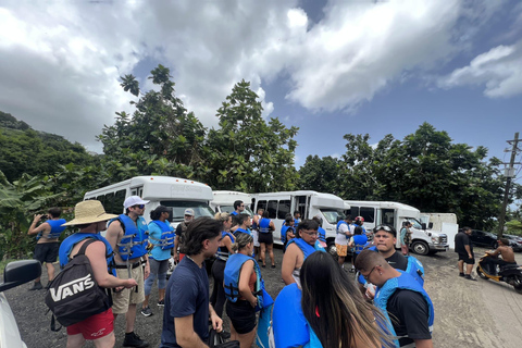 El Yunque Rainforest & Old San Juan Tour