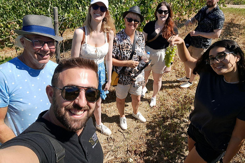 Crète : Visite de 2 vignobles avec dégustation de vin, huile d'olive et déjeuner