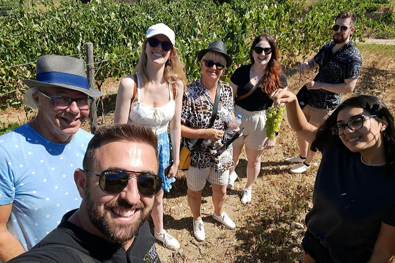 Crète : Visite de 2 vignobles avec dégustation de vin, huile d'olive et déjeuner