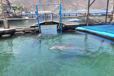 SANTA MARTA: WYCIECZKA PO ZATOCE AKWARIOWEJ I REJS KATAMARANEMSANTA MARTA: BAHIA AQUARIUM I WYCIECZKA RODADERO W KATAMARAN