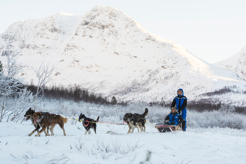 From Tromsø: Advanced Dog Sledding Daytime & Snow Park Visit