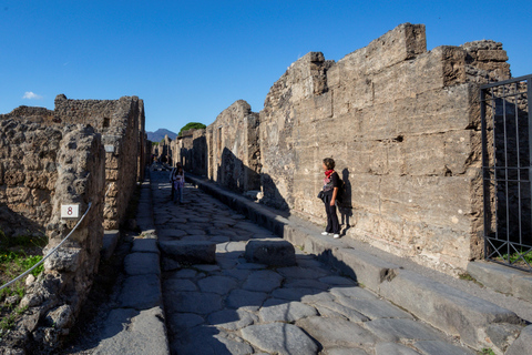 Pompeii: New Discoveries & Ancient Wonders Tour with Ticket Semi-Private Group max 8 people