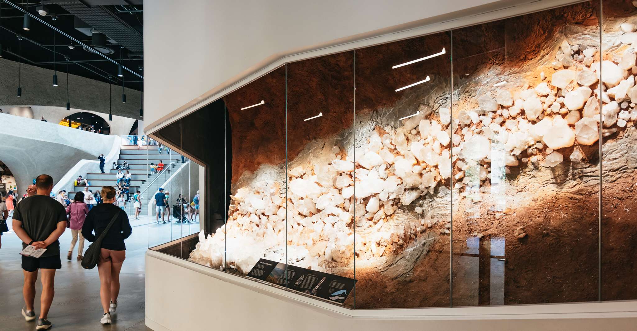 New York City, American Museum of Natural History Ticket - Housity