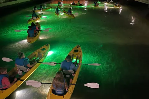 St. Pete Beach: Glass Bottom Kayak Fish Feeding Night Tour