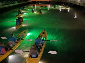 St. Pete Beach: Glasboden-Kajak Fischfütterung Nachttour