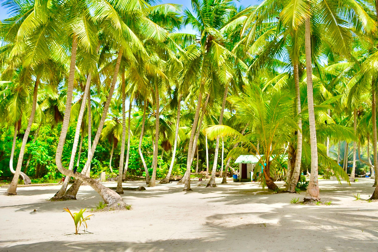 Punta Cana: Island escape to Saona, catamaran & beach lunch Punta Cana: Catamaran Party Cruise | Open Bar & Snorkeling