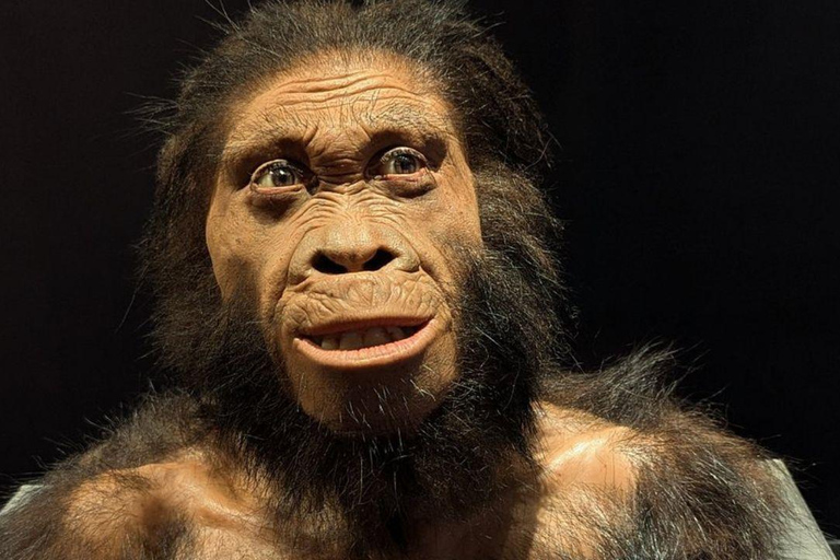 From Johannesburg: Cradle of Humankind Tour with Pickup