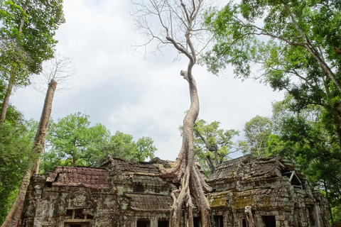 Siem Reap: Alba di Angkot Wat, guida e racconti con trasferimento