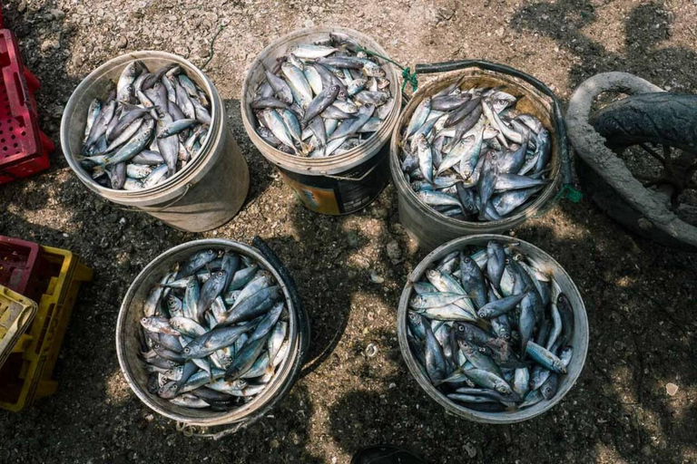 Hai Van Horizons - wycieczka fotograficzna do Da Nang