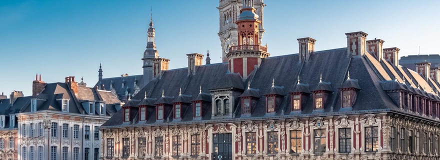 Lille : Visite guidée privée de dégustation à pied avec un habitant de la région