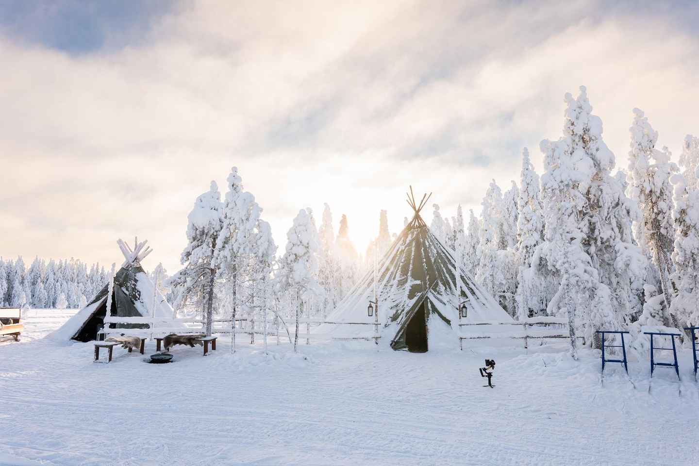 Ranua: Lupland Activity Park Entry with Reindeer Experience