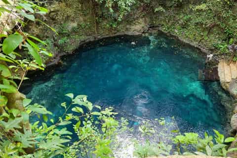 Cenote Zapote, Lázaro Cárdenas (Municipality) - Book Tickets