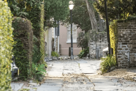 Charleston: 2 Hour private driving tour