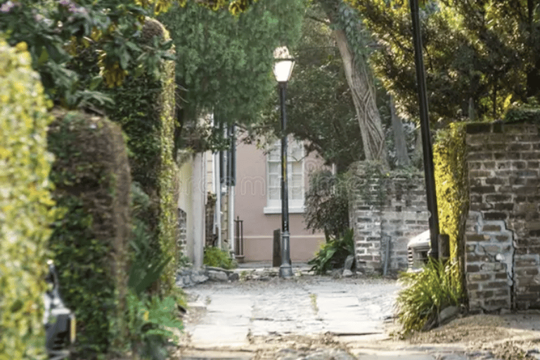 Charleston: 2 Hour private driving tour
