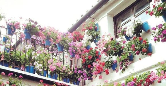 Córdoba Courtyards Contest: A unique experience of flowers and tradition.