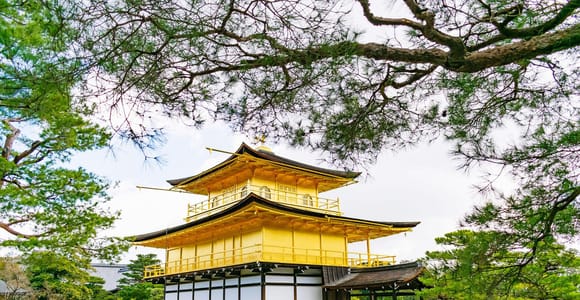 From Osaka: Kyoto Bus Tour: Nijo, Arashiyama & Fushimi Inari