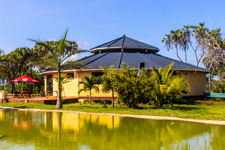 Exploring Nature's Treasures: A Private Day Trip in Diani Exploring Nature's Treasures: A Day Trip in Diani