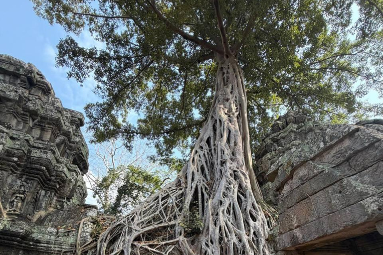 2-Day Phnom Penh to Siem Reap Tour with Angkor Wat Sunrise