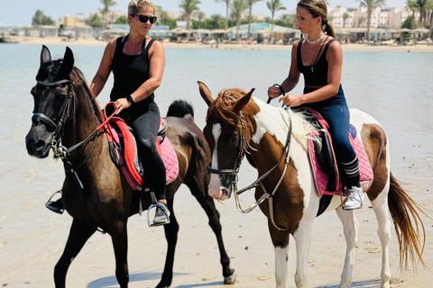 Hurghada: 1 HR Red Sea Swimming with Horses with Transfers Exclusive Family Package – 1 HR with Swimming & Transfers