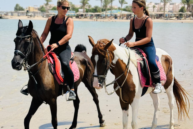 Hurghada: 1 HR Red Sea Swimming with Horses with Transfers Exclusive Family Package – 1 HR with Swimming & Transfers