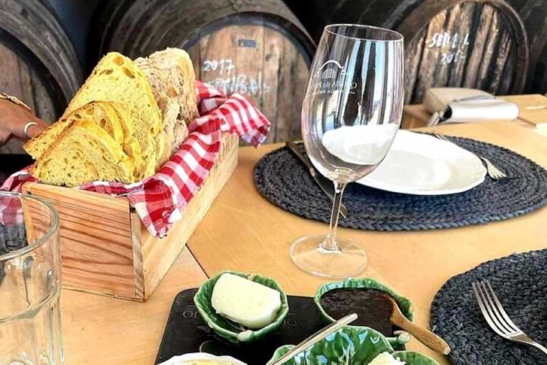 Private Setúbal Wine Tour with Food and Wine Tasting