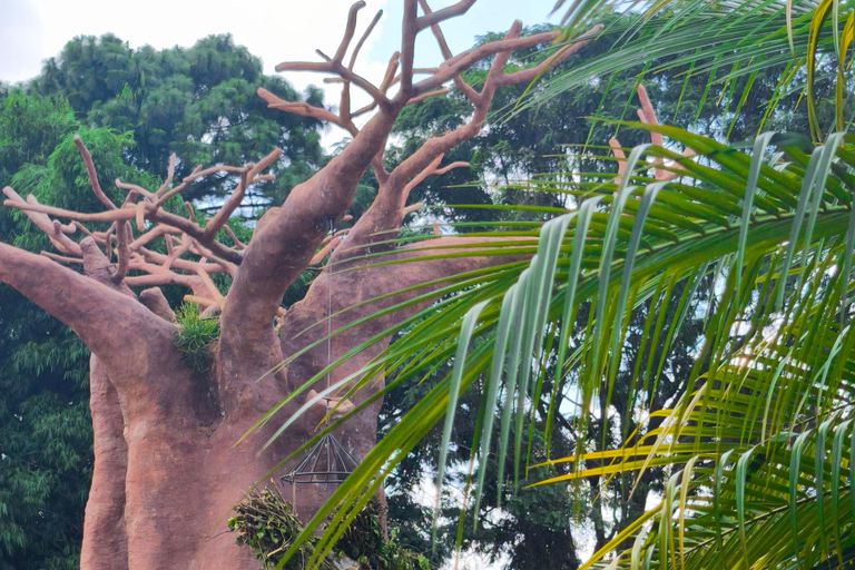 Tour of La Aurora Zoo, Historic Center, and Ciudad Cayalá in Guatemala