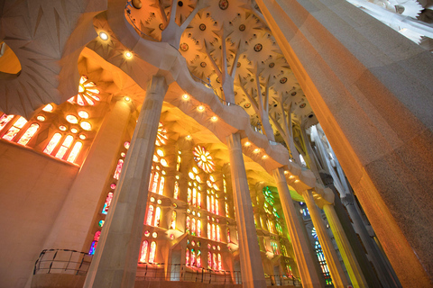Barcelona: Sagrada Familia Guided Tour Sagrada Familia Standard Group Tour in English