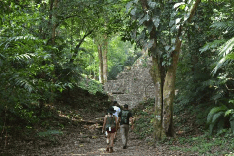 San Cristobal: 3 Days Expedition of North Lacandona JungleIn cabin within the jungle with shared bathroom