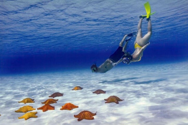 Cozumel: Private Snorkel Tour El Cielo + 3 Reefs Food Drinks