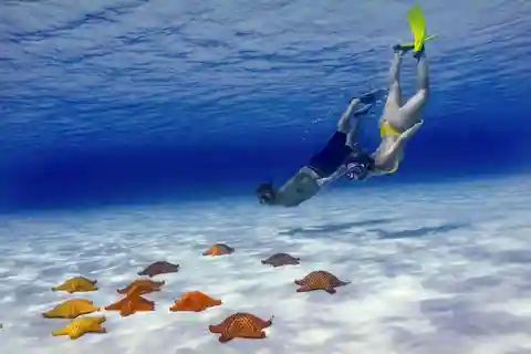 Cozumel: Tour gastronômico particular com snorkel El Cielo + 3 recifes com bebidas