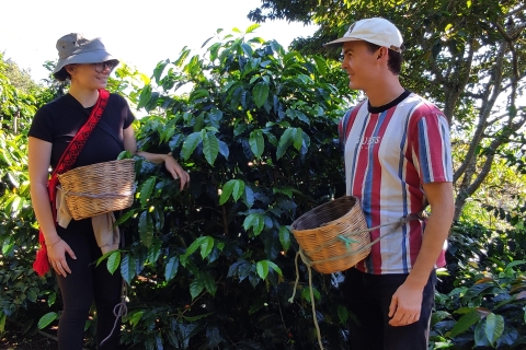 San Cristóbal de Las Casas: Ruta de café a Tenejapa