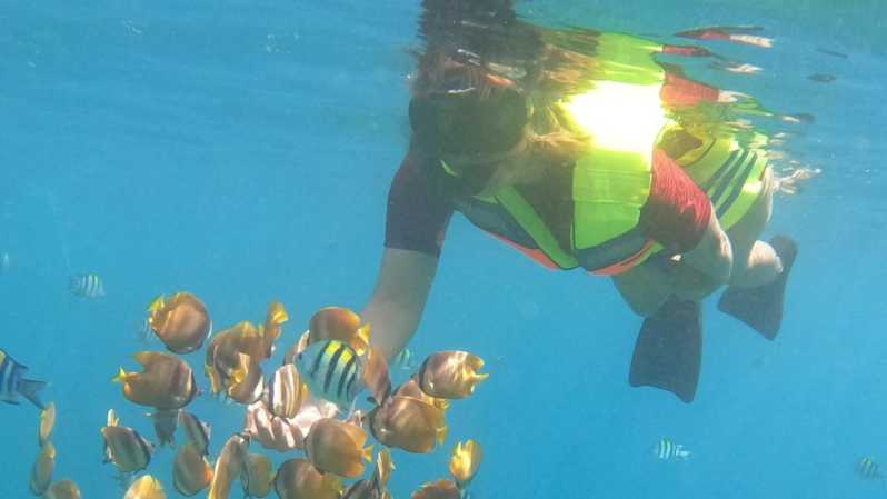 LES 10 MEILLEURES Plongée sous-marine et avec tuba à Bali
