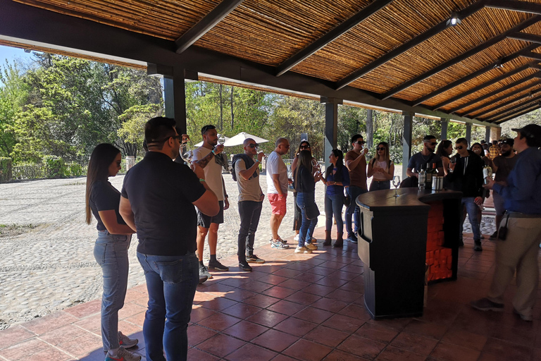 Visite prolongée de Concha y Toro avec 7 dégustations et Lapis Lazuli